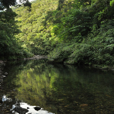 奄美の川の特徴